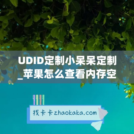 UDID定制小呆呆定制_苹果怎么查看内存空间