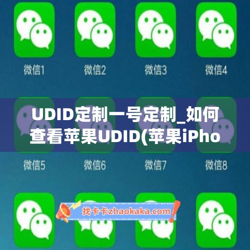 UDID定制一号定制_如何查看苹果UDID(苹果iPhone手机UDID查询方法)(苹果udid定制软件稳定吗)