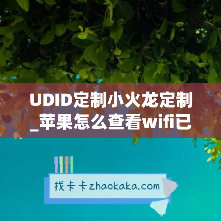 UDID定制小火龙定制_苹果怎么查看wifi已连接密码(ios怎么查wifi)