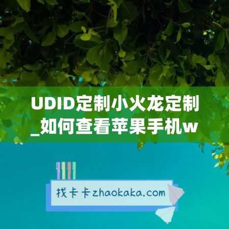 UDID定制小火龙定制_如何查看苹果手机wifi连接的密码(苹果手机wi-fi怎么查看)