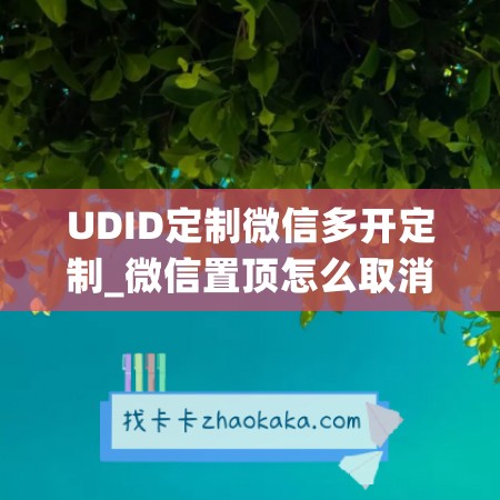 UDID定制微信多开定制_微信置顶怎么取消朋友圈置顶怎么取消