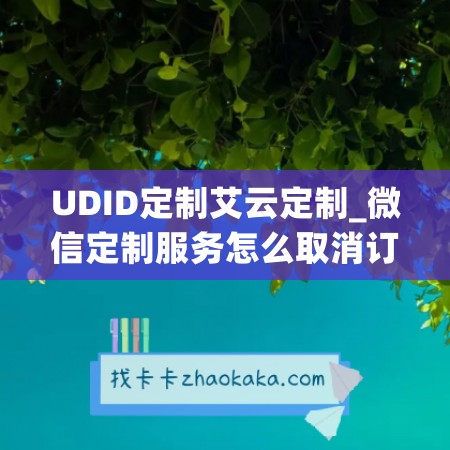 UDID定制艾云定制_微信定制服务怎么取消订单退款