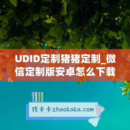 UDID定制猪猪定制_微信定制版安卓怎么下载安装