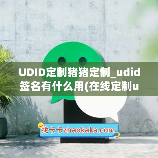 UDID定制猪猪定制_udid签名有什么用(在线定制udid签名)