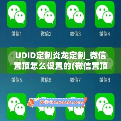 UDID定制炎龙定制_微信置顶怎么设置的(微信置顶自定义)