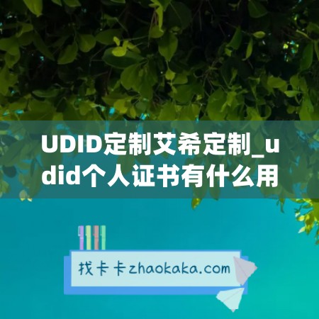 UDID定制艾希定制_udid个人证书有什么用(udid证书购买平台)