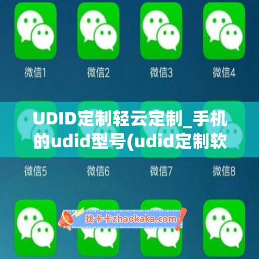 UDID定制轻云定制_手机的udid型号(udid定制软件)