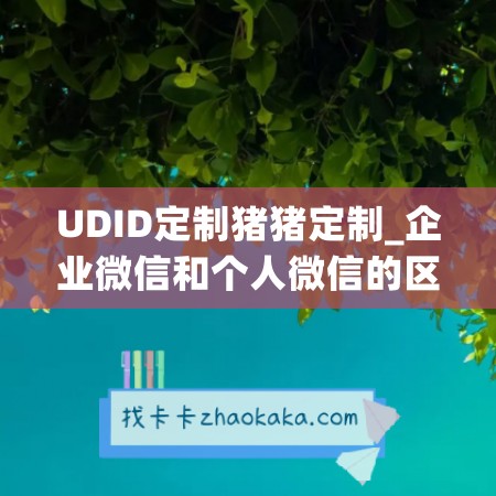 UDID定制猪猪定制_企业微信和个人微信的区别(微信和企业微信是一家吗)