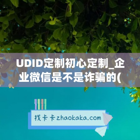 UDID定制初心定制_企业微信是不是诈骗的(ur企业微信)