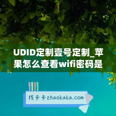 UDID定制壹号定制_苹果怎么查看wifi密码是多少(苹果udid查询)