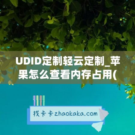 UDID定制轻云定制_苹果怎么查看内存占用(如何查看iphone内存占用)