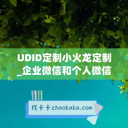 UDID定制小火龙定制_企业微信和个人微信能互通吗